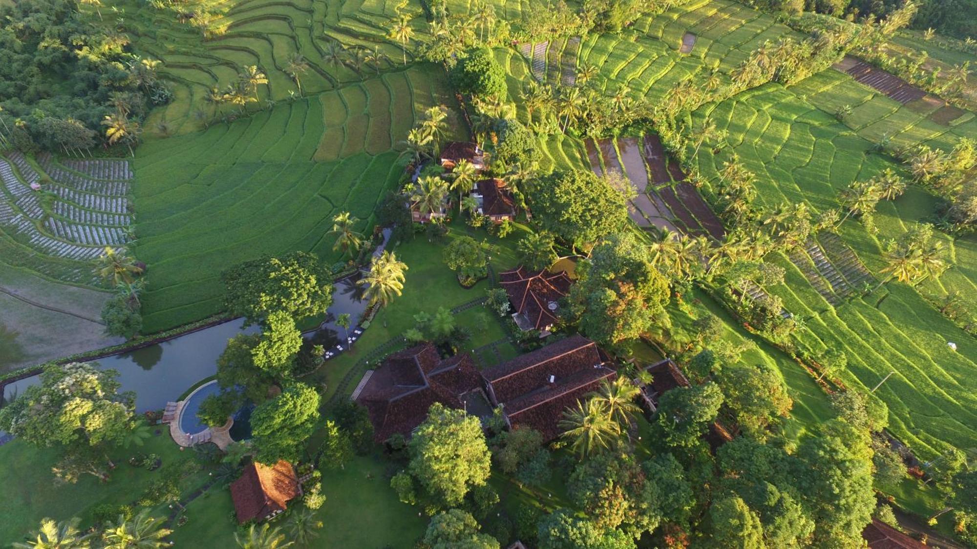 Ijen Resort And Villas - The Hidden Paradise Баньювангі Екстер'єр фото