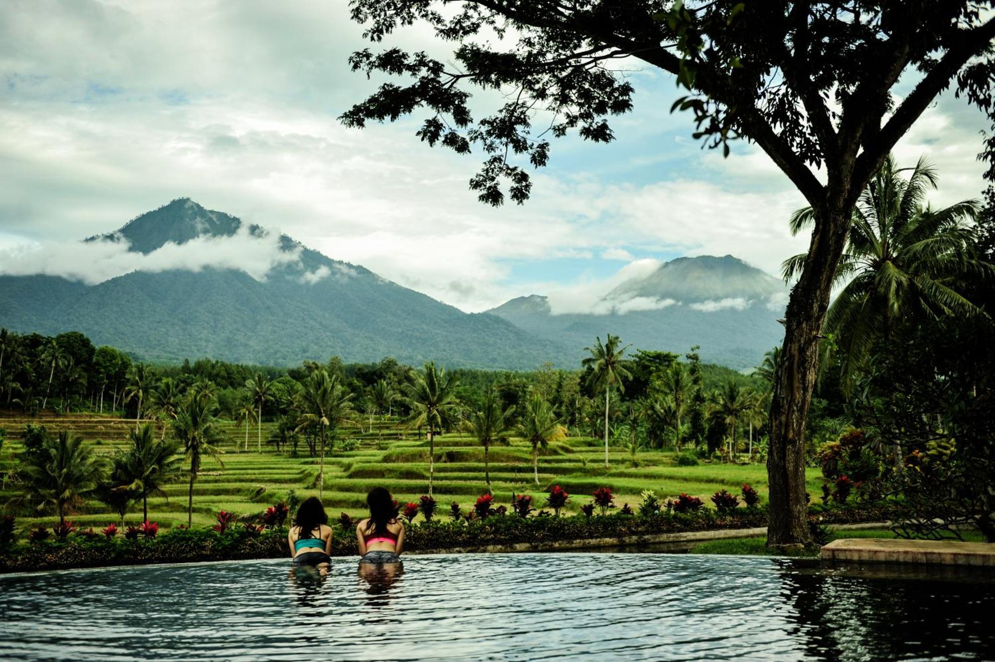 Ijen Resort And Villas - The Hidden Paradise Баньювангі Екстер'єр фото