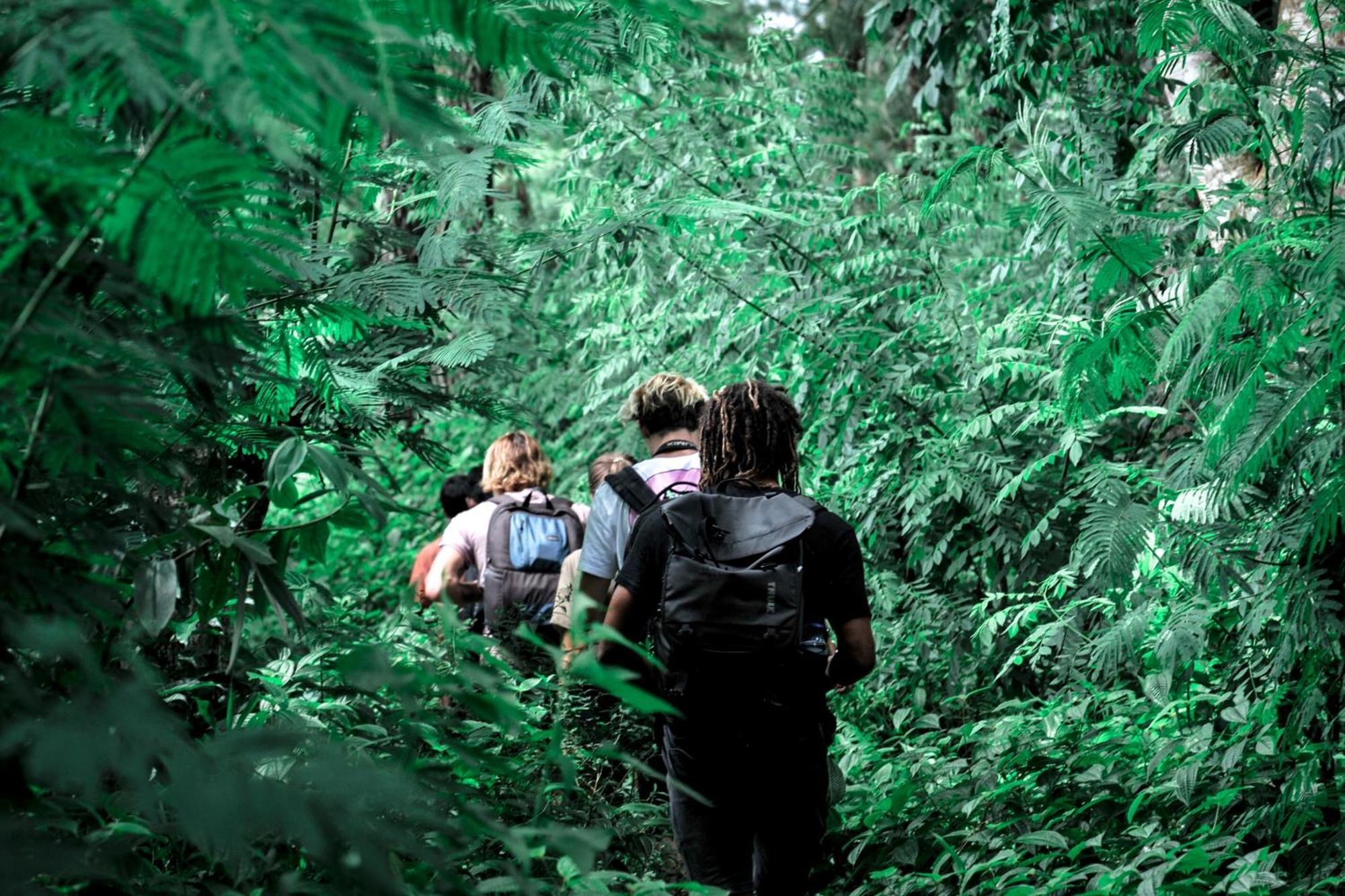 Ijen Resort And Villas - The Hidden Paradise Баньювангі Екстер'єр фото